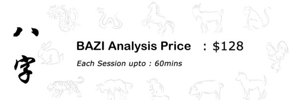 Bazi Reading. Analysis & Consultation By Bazi Masters Singapore